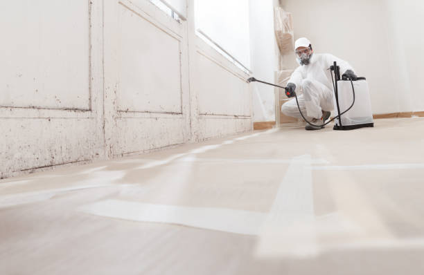 24/7 Emergency Mold Inspection experts in Glen Rock, NJ