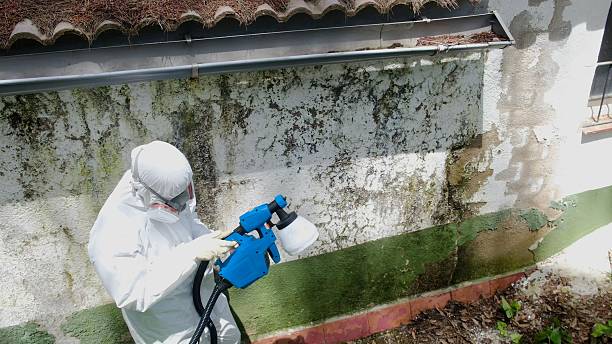 Trusted Mold Inspection service in Glen Rock, NJ - Cheap Mold Removal
